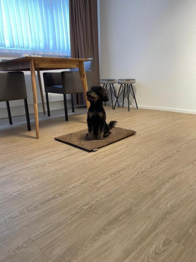 Appartement Gocki